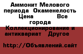Аммонит Мелового периода. Окаменелость. › Цена ­ 2 800 - Все города Коллекционирование и антиквариат » Другое   
